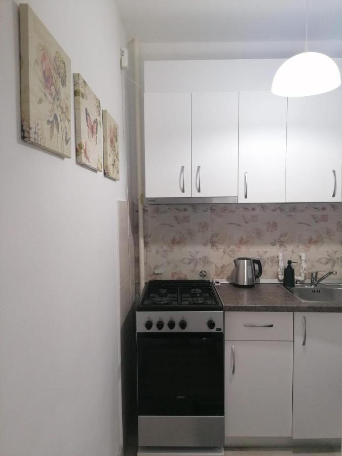 Laroka House Cosy And Modern Apartment Universitate-City Centre Bukarest Exterior foto